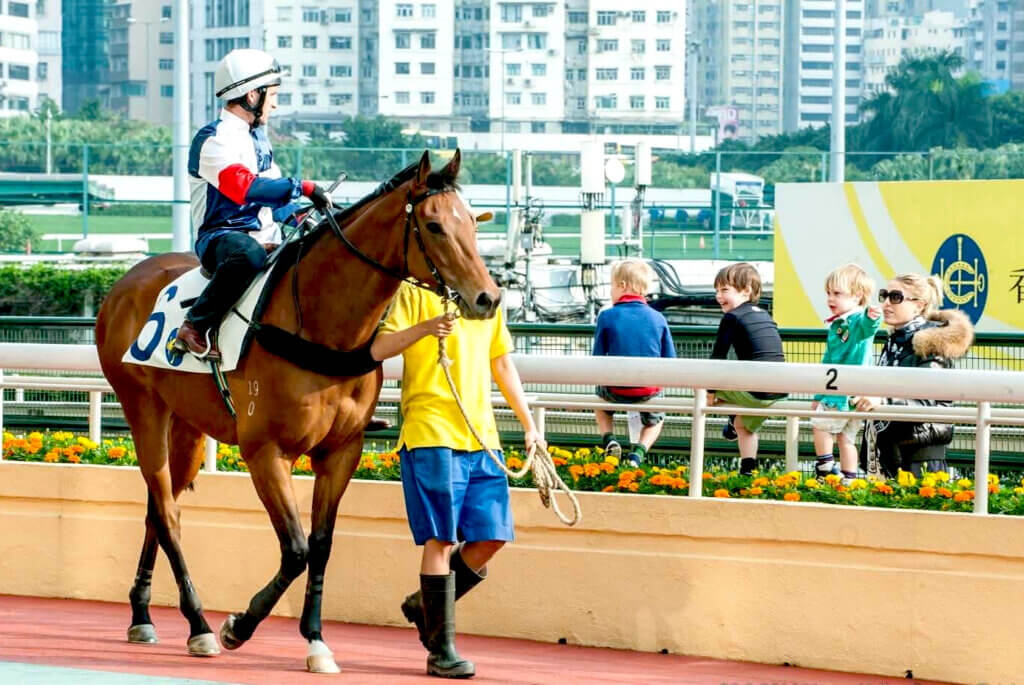 The Callan Family at Happy Valley barrier trials