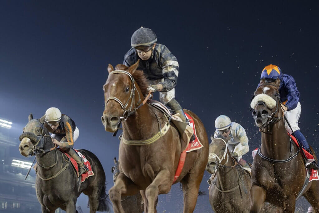 Silvestre de Sousa and El Nasseeb winning the G3 Mahab Al Shimaal at Meydan