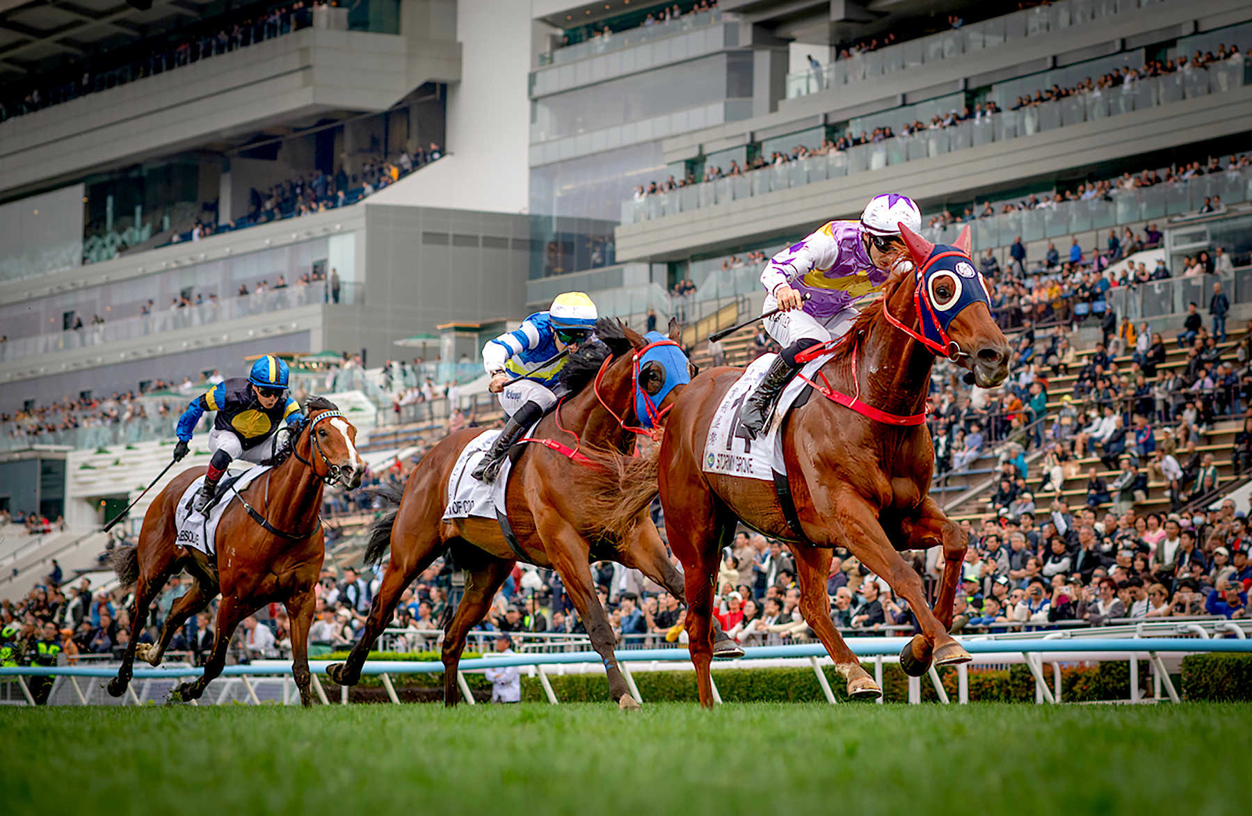 Stormy Grove winning the Classic Cup en route to the 2026 Hong Kong Derby