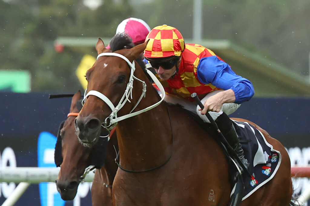James McDonald broke the Australian G1 wins record when winning the Rosehill Guineas on Autumn Boy