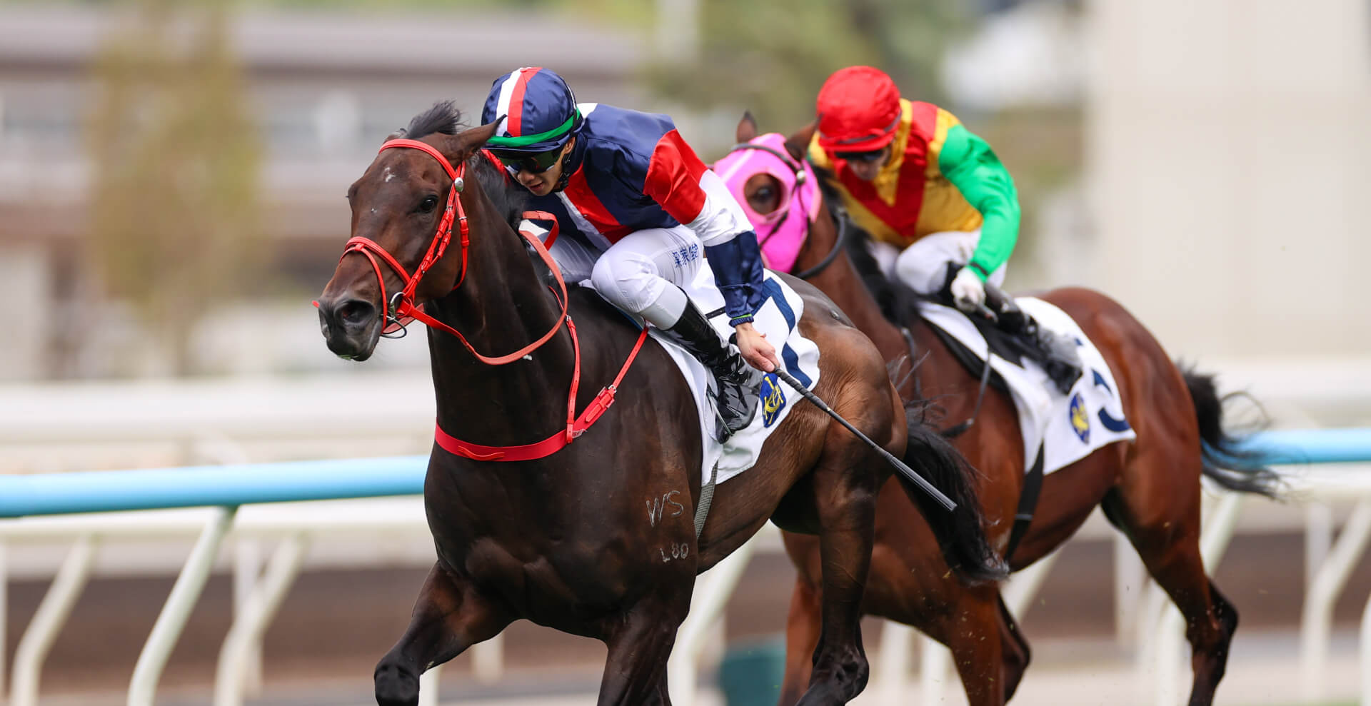 Derek Leung guides Numbers to victory in the G3 The Centenary Vase at Sha Tin