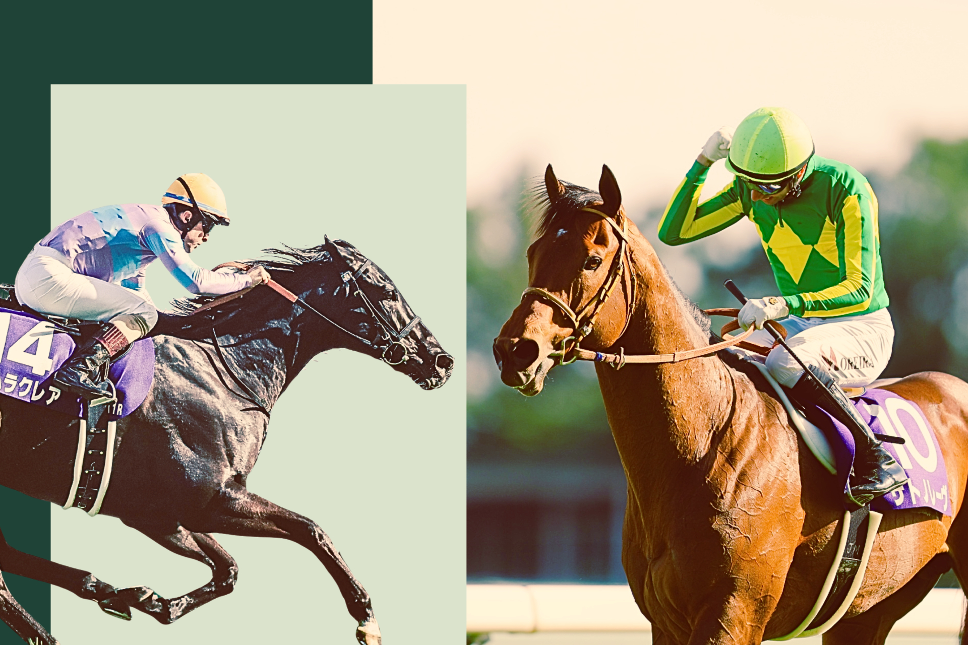 2026 G1 Guide for the Takamatsunomiya Kinen