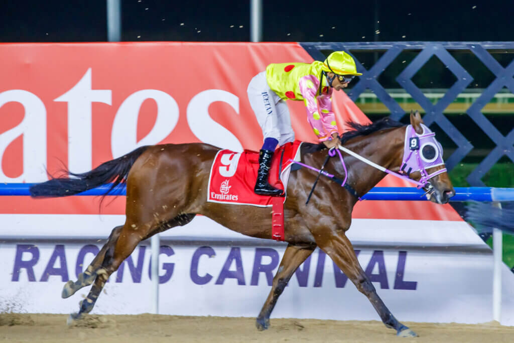 Chris So and Karis Teetan at Meydan on Super Saturday