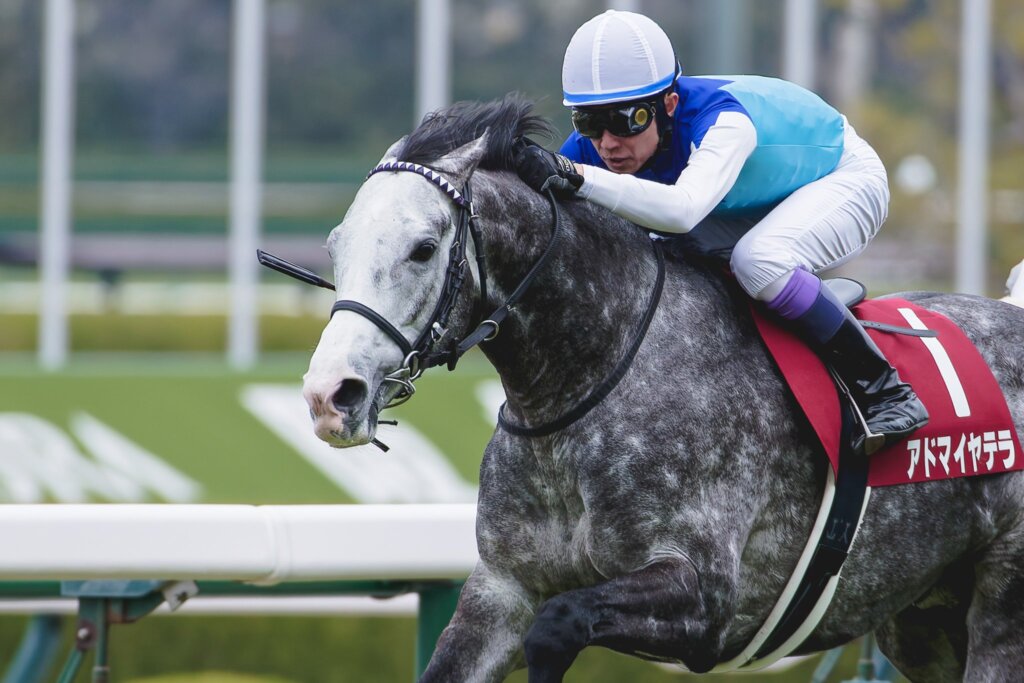 Yutake Take has won a Group race in Japan in each of the 40 years he has been riding