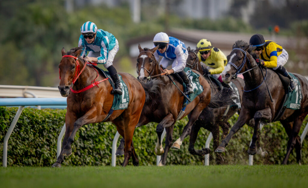 A record breaking fourth G1 QEII Cup for Romantic Warrior