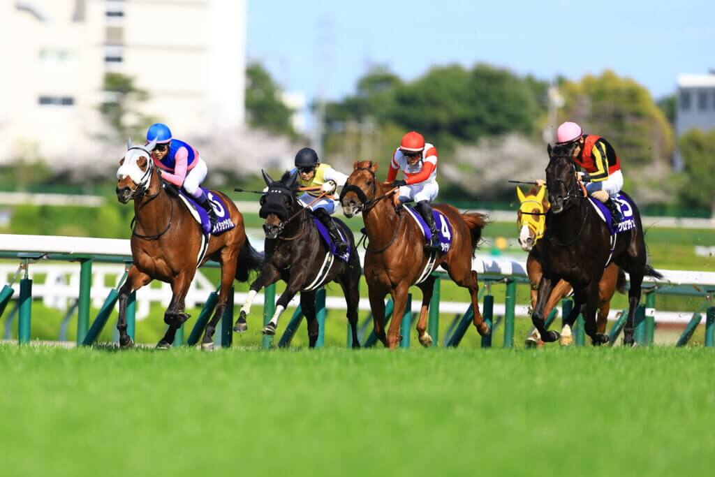 Croix du Nord (right) chases Meisho Tabaru to win 2026 Osaka Hai