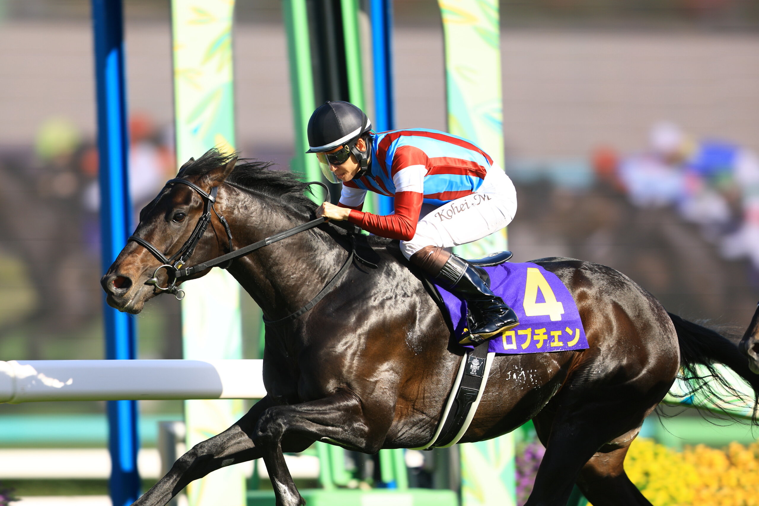 Lovcen in full flight under Kohei Matsuyama