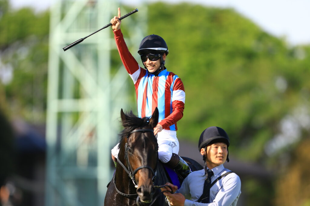 Kohei Matsuyama and Lovcen