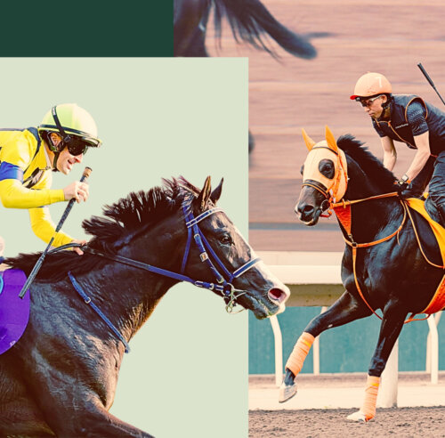 Jantar Mantar and Masquerade Ball are among Japan's contingent in Hong Kong for Champions Day 2026