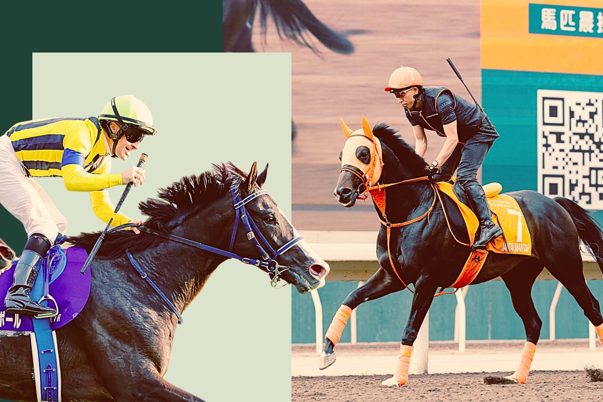 Jantar Mantar and Masquerade Ball are among the Japanese contingent in Hong Kong for Champions Day 2026