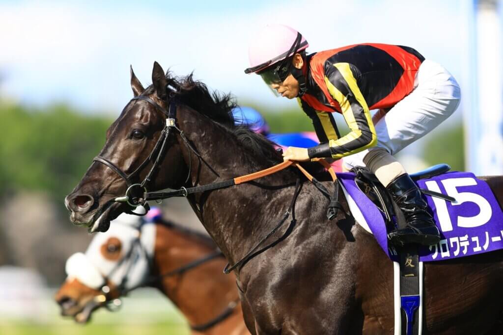 Croix Du Nord powers to victory in the 2026 G1 Osaka Hai