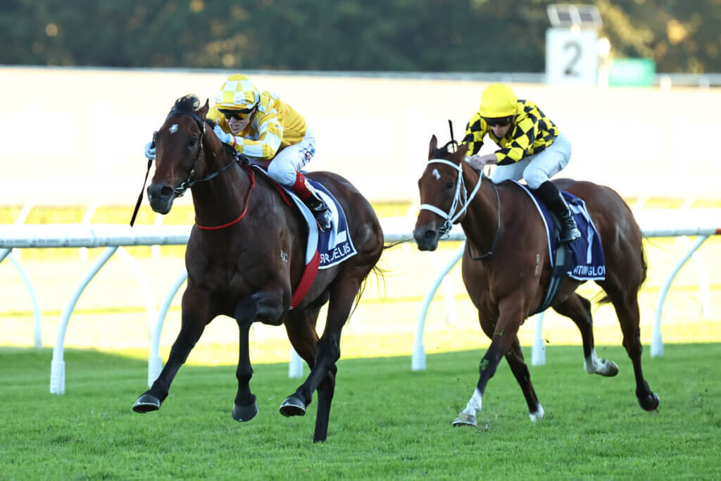 Sir Delius and Craig Williams beat Autumn Glow and James McDonald in the G1 Doncaster Mile at Randwick