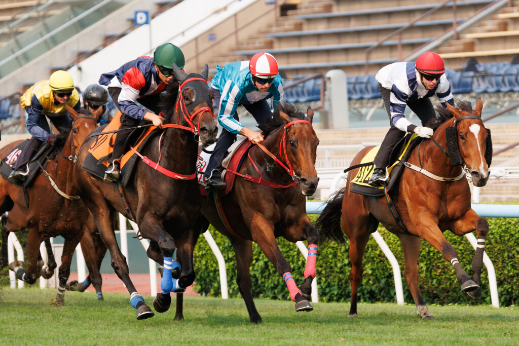 Hugh Bowman guides Romantic Warrior in Sha Tin trial