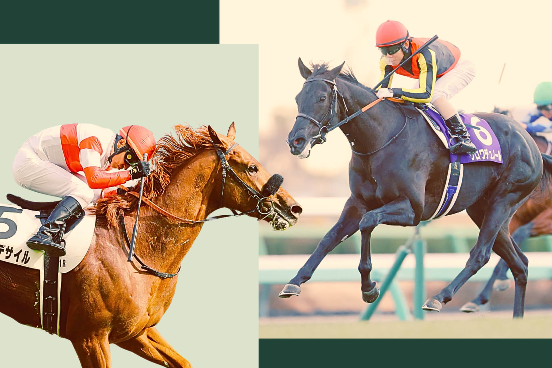 2026 G1 Osaka Hai key contenders Danon Decile and Croix Du Nord