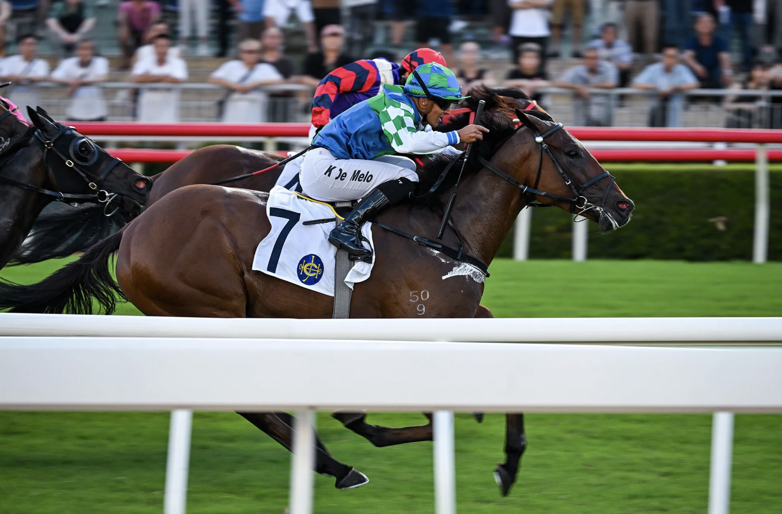 Keagan De Melo wins on Copartner Prance in G3 Premier Cup