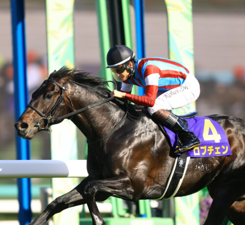 Lovcen in full flight under Kohei Matsuyama in G1 Satsuki Sho