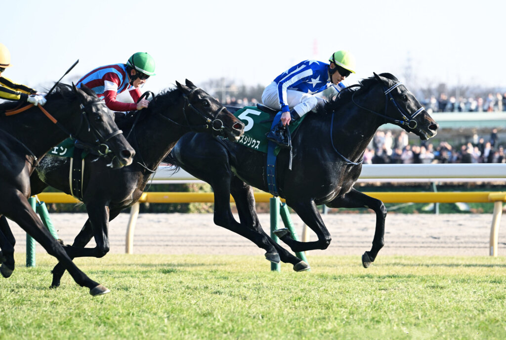 Realize Serious winning G3 Kyodo News Hai