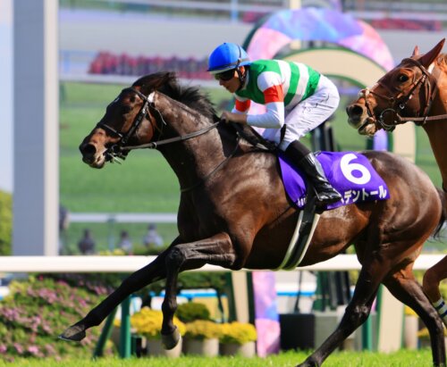 Redentor and Damian Lane win the G1 Tenno Sho (Spring) at Kyoto in 2025