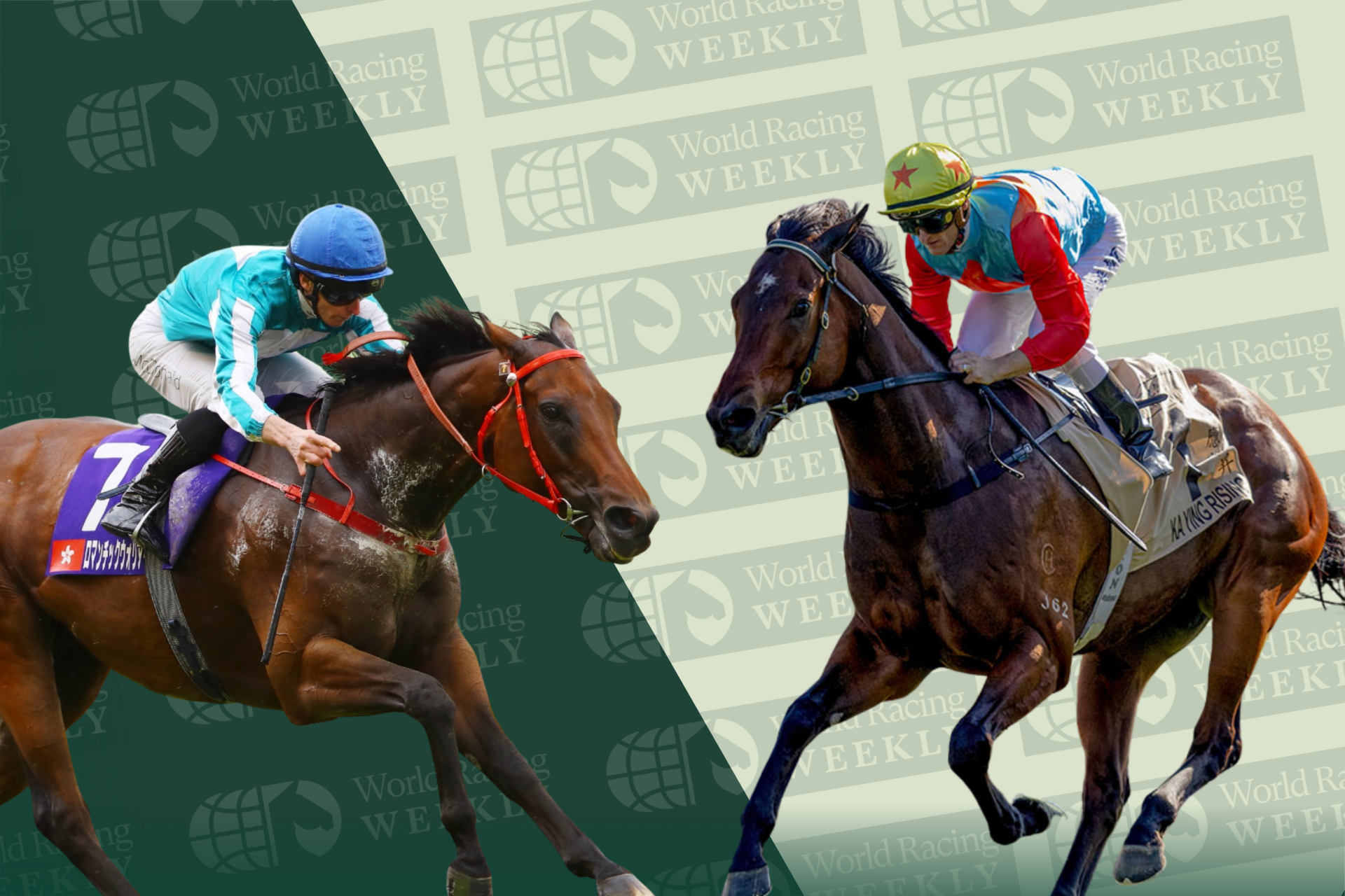 Romantic Warrior and Ka Ying Rising will race on Champions Day at Sha Tin