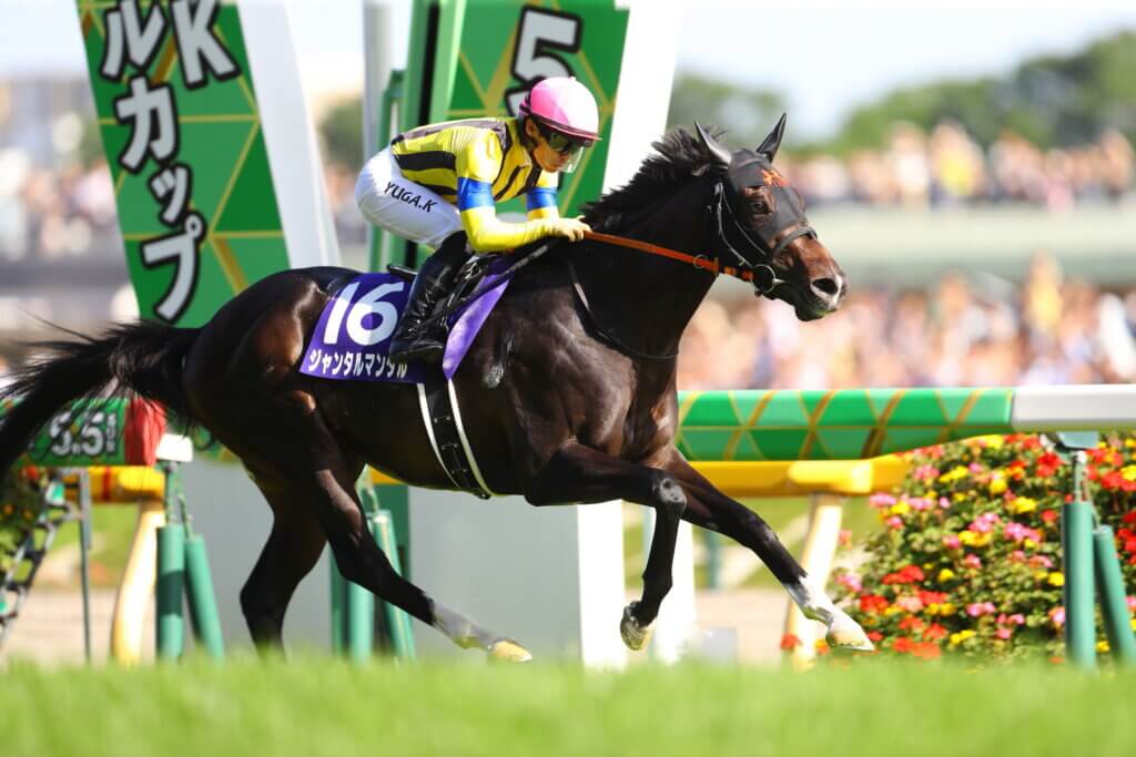 Jantar Mantar winning the 2024 NHK Mile Cup at Tokyo