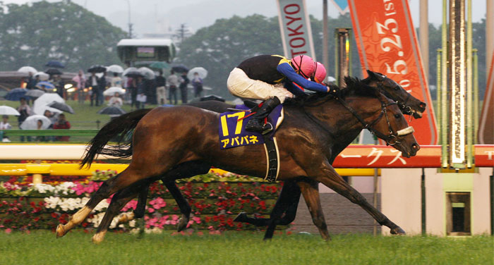 Apapane Saint Emilion dead-heat the 2010 Yushun Himba