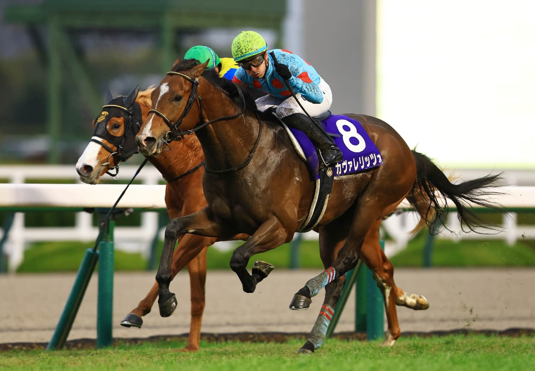 It’s NHK Mile Cup Week, Here’s What You Need To Know