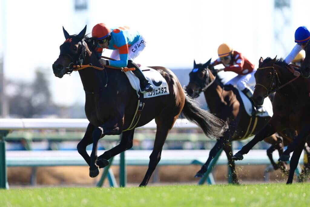 Congestus winning on debut at Nakayama