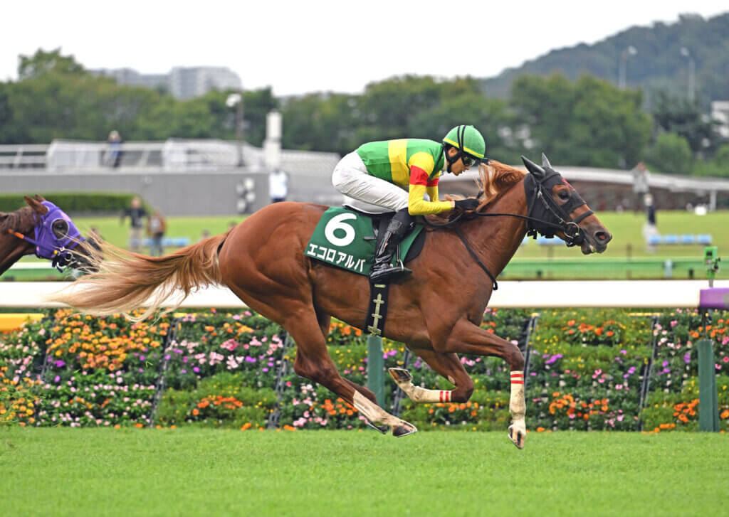 Ecoro Alba and Ryusei Sakai winning the G3 Saudi Arabia Royal Cup at Tokyo