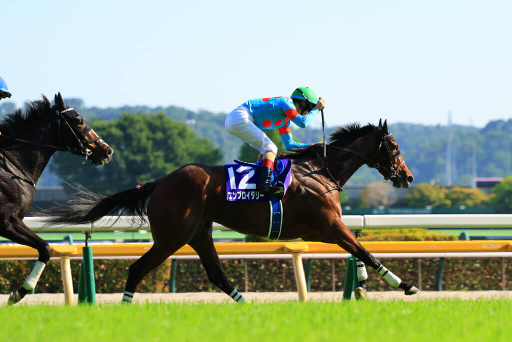 Embroidery winning the G1 Victoria Mile under Christophe Lemaire