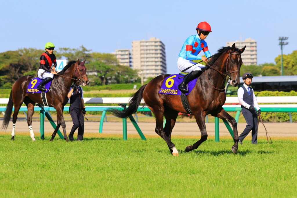Forte Angelo and Reichsadler