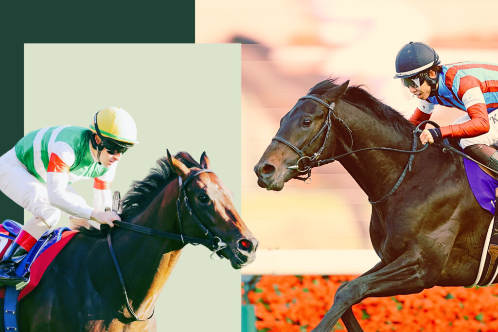 Tokyo Yushun Group 1 Betting Guide
