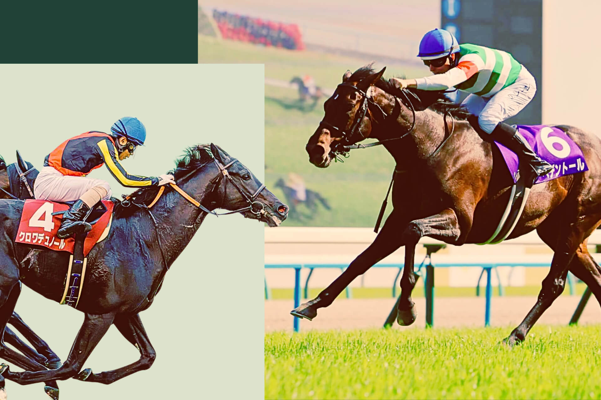 Croix Du Nord and Redentor will contest the G1 Tenno Sho (Spring)