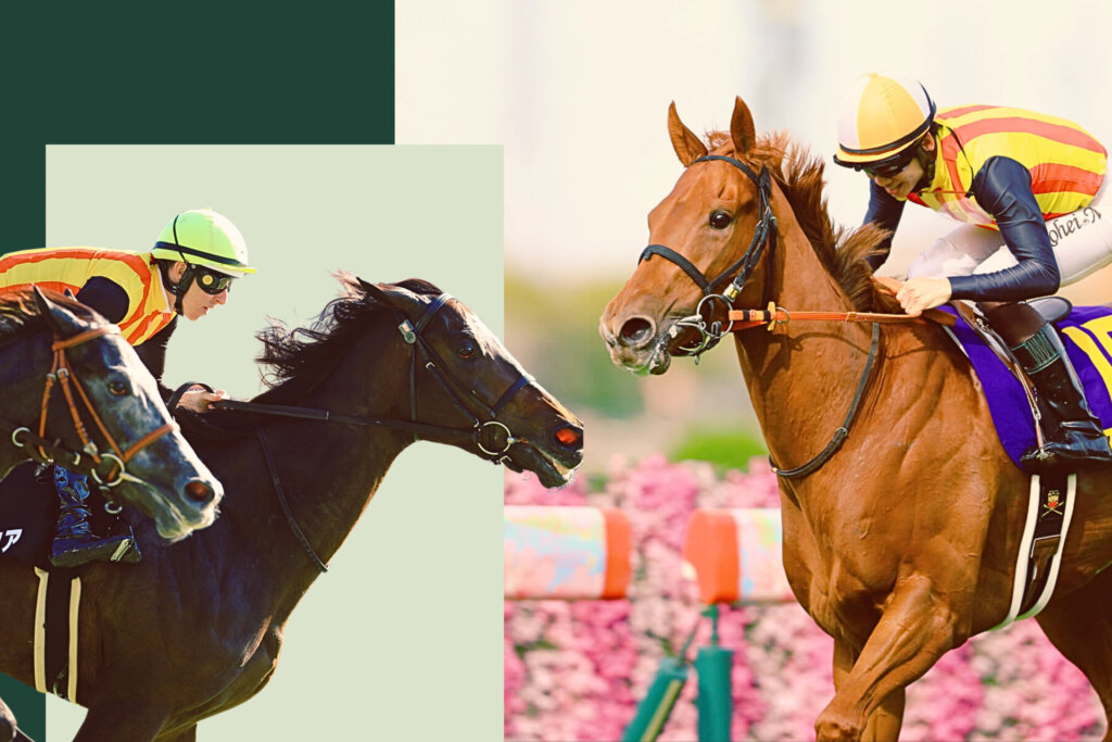 Dream Core and Star Anise are among the leading contenders for the G1 Japanese Oaks
