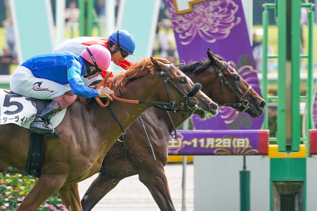 Going To Sky winning on debut