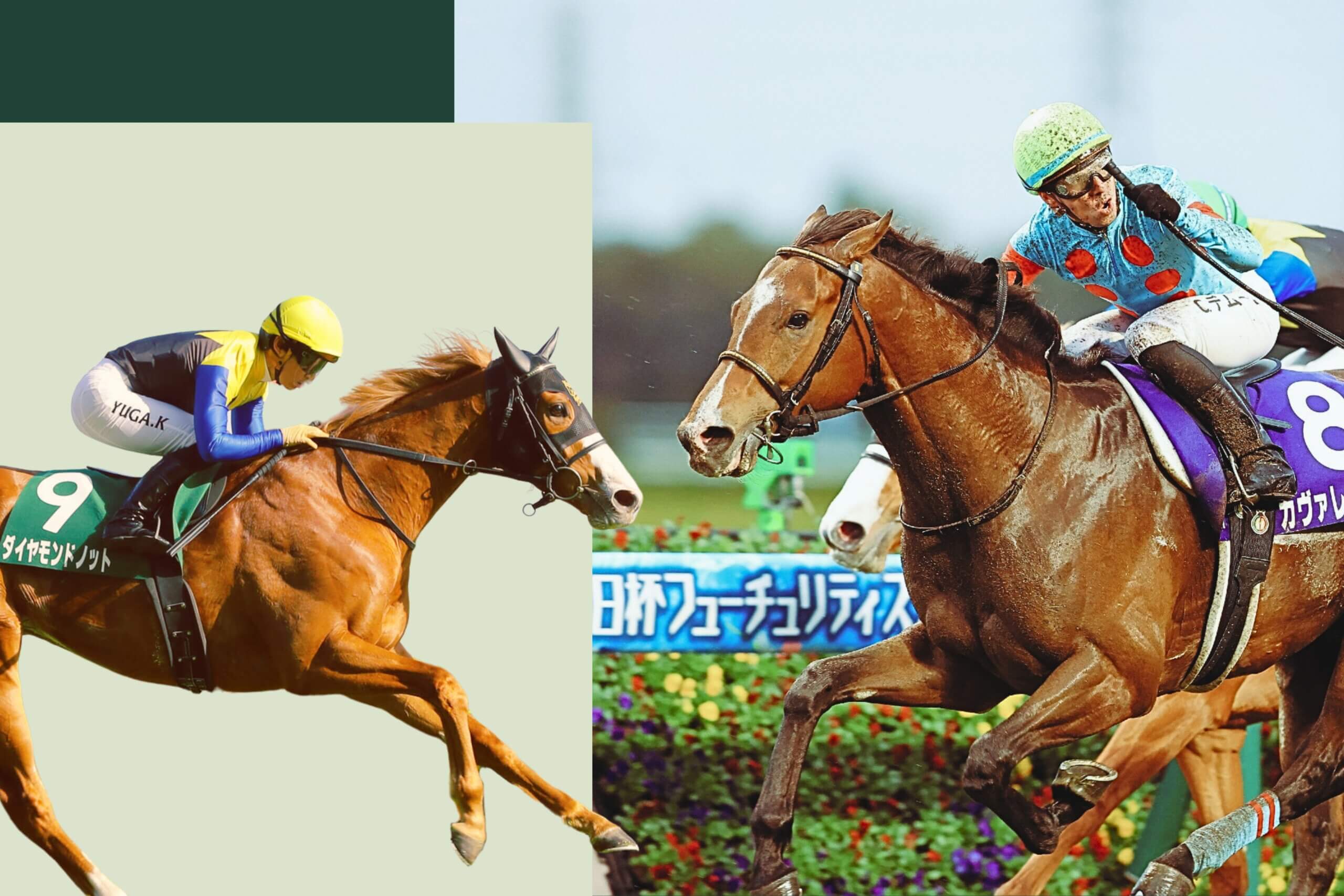 Diamond Knot and Cavallerizzo are key contenders for the 2026  G1 NHK Mile Cup