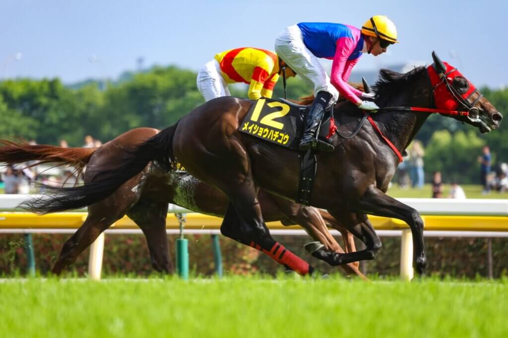Mick Dee winning the Principal Stakes aboard Meisho Hachiko