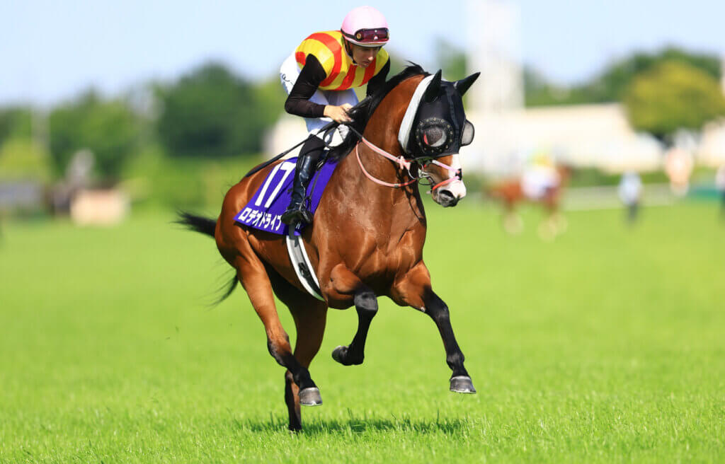 Damian Lane and Rodeo Drive ahead of the 2026 NHK Mile Cup at Tokyo