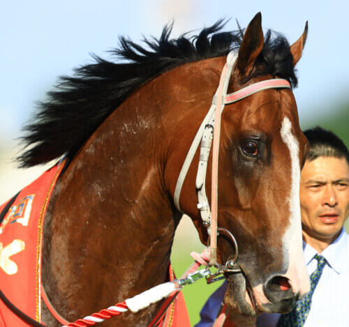 Rodeo Drive NHK Mile Crop