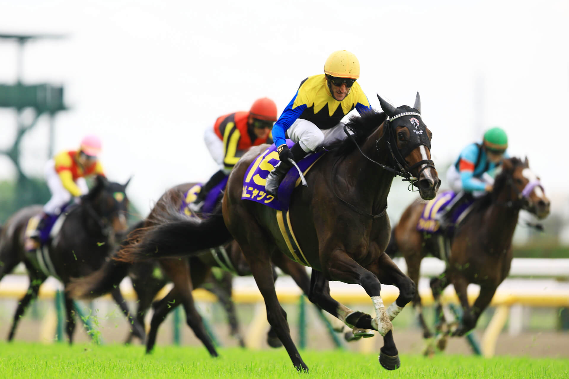 Andrasch Stark guides Kamuyak to victory in the G1 Yushun Himba