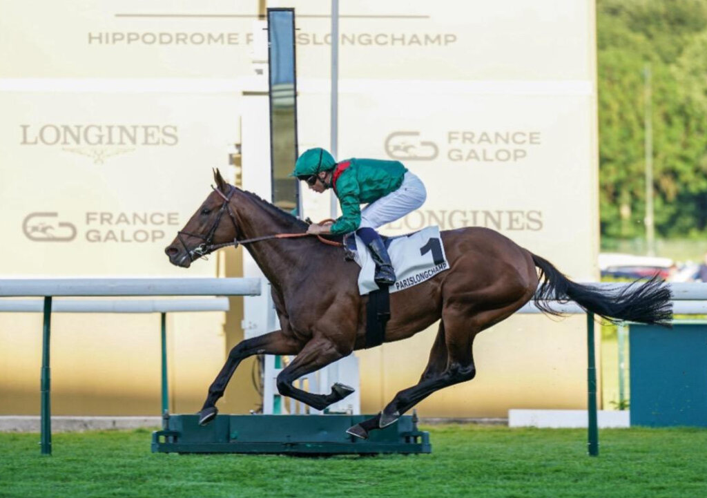 Daryz winning the 2026 G1 Prix Aga Khan IV