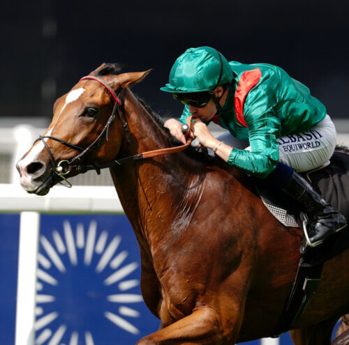 Calandagan winning at Ascot