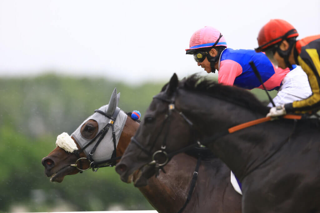 Meisho Tabaru beating Croix du Nord in the G1 Takarazuka Kinen
