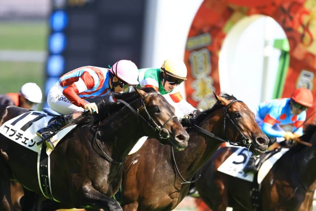 Lovcen beating Peintre Naif in the G1 Tokyo Yushun
