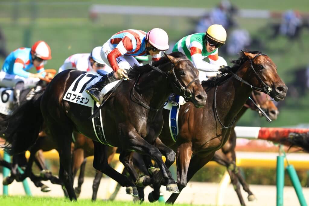 Lovcen beating Peintre Naif in the Tokyo Yushun