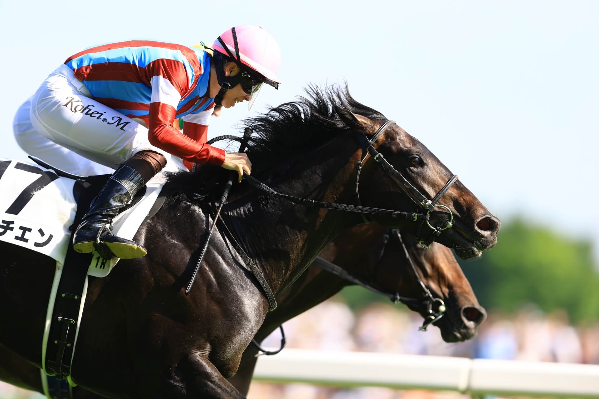 Lovcen got up in the last stride in the G1 Tokyo Yushun