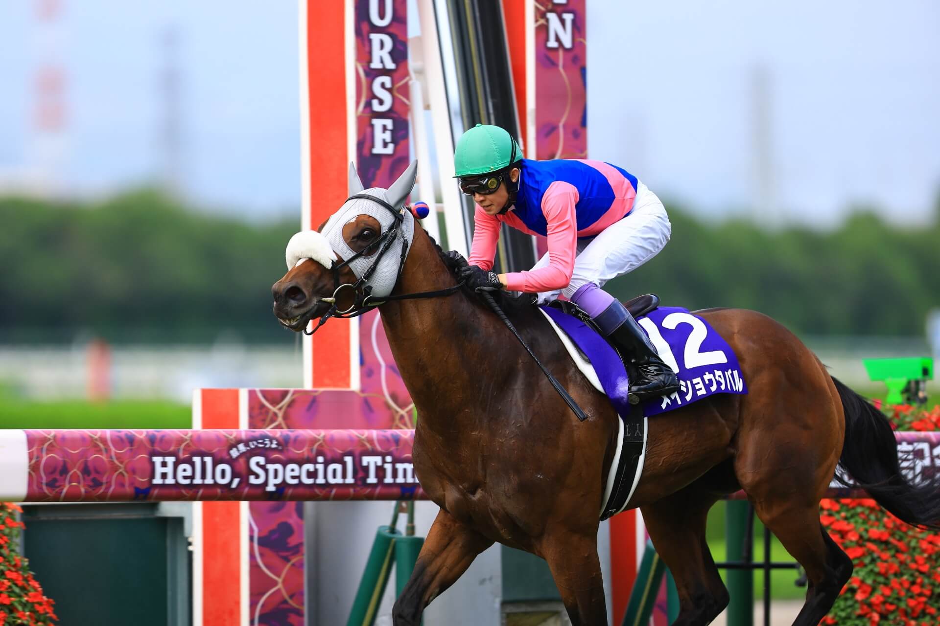 宝塚記念】クロワデュノール「春古馬三冠」へ、豪華G1馬集結