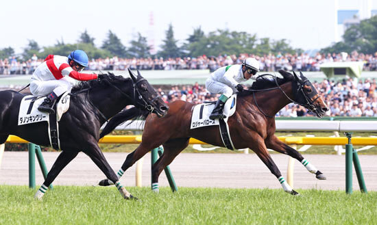 Roger Barows winning the 2019 Tokyo Yushun under Suguru Hamanaka