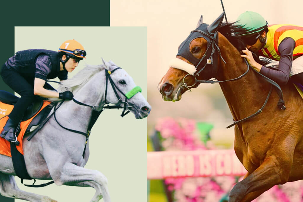 Gaia Force and Stellenbosch are among the lead fancies for the G1 Yasuda Kinen in 2026
