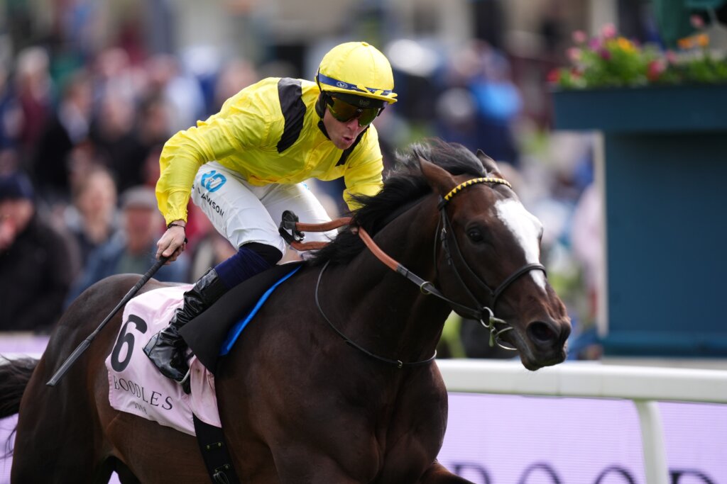 Ray Dawson and Rahiebb winning the G2 Yorkshire Cup in 2026