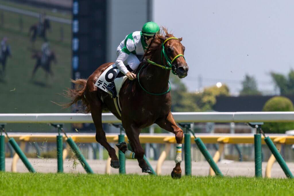 Demian winning on debut at Tokyo under Damian Lane